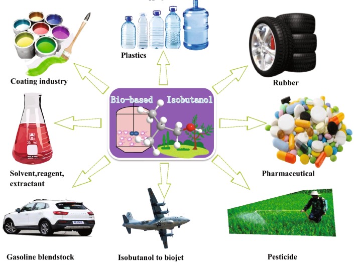 ISOBUTANOL (ISOBUTYL ALCOHOL) 2